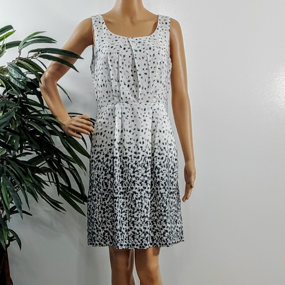 LOFT Dresses & Skirts - Loft Dress